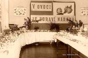 Výstavy pořádané v letech 1964 -1986