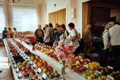 2009_-_3_cc_-_Machova